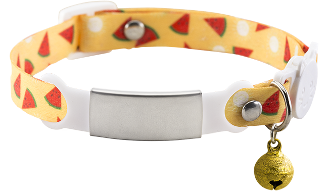 Engraved Breakaway Cat Collar Engraved Breakaway Cat Collar
