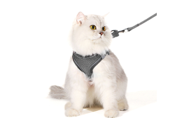 Reflective Cat Harness Vest