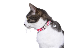 Breakaway Cat Collar with Metalic Buckle