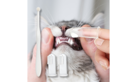 Complete Cat Oral Care Set: Toothbrush, 2 Finger Brushes & Vanilla Toothpaste