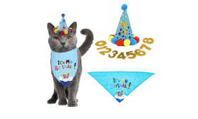 Cat Birthday Bandana Set