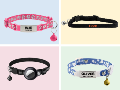 The Best Cat Collars to Keep Your Feline Safe and Secure at All Times